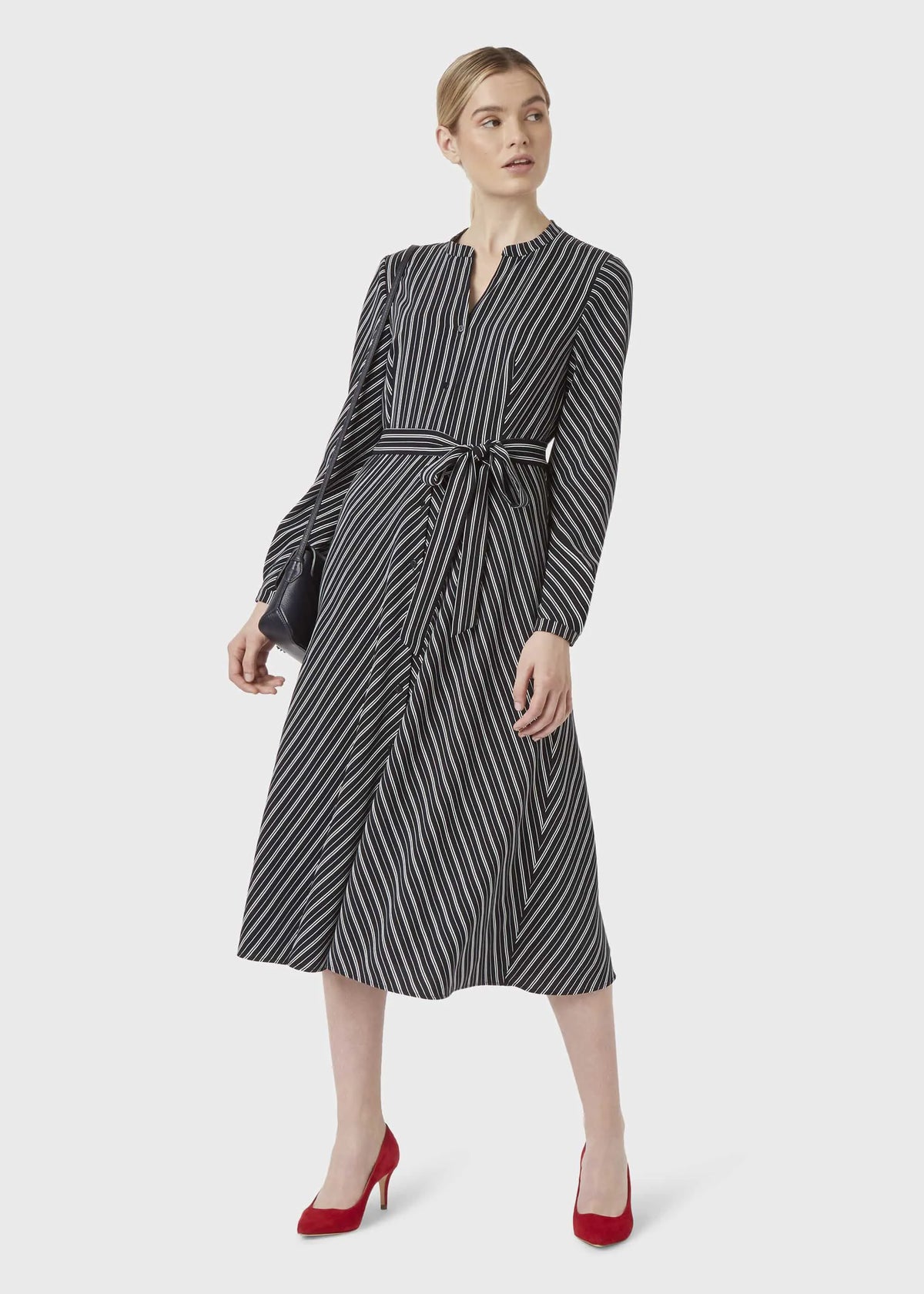 Navy Ivory