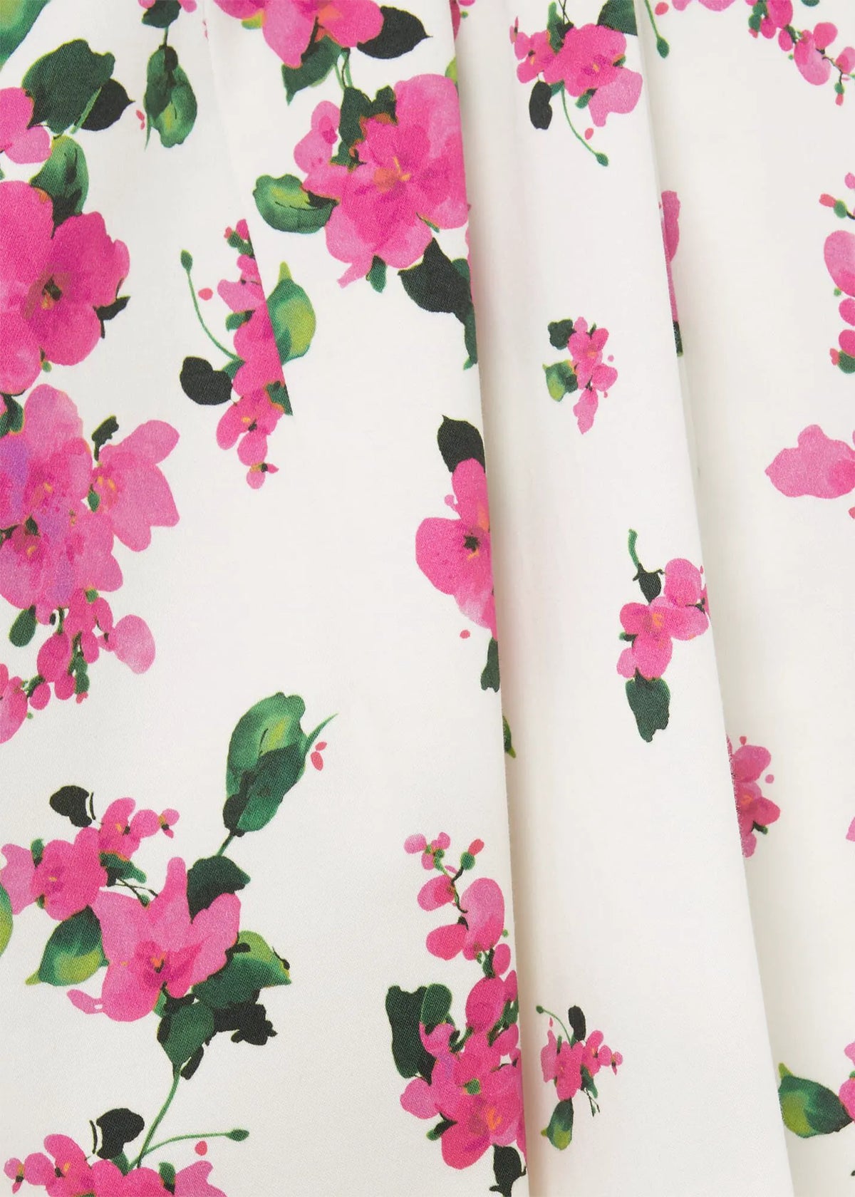 Ivory Fuchsia