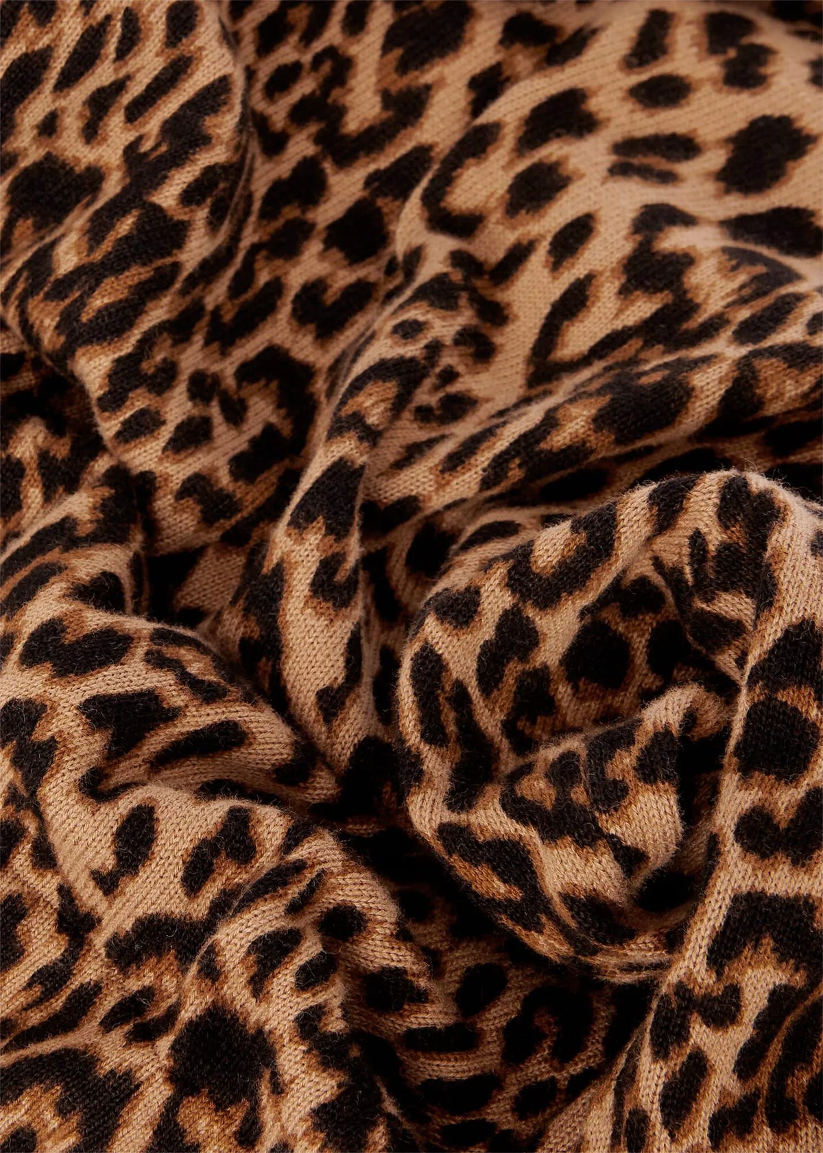 Camel Black