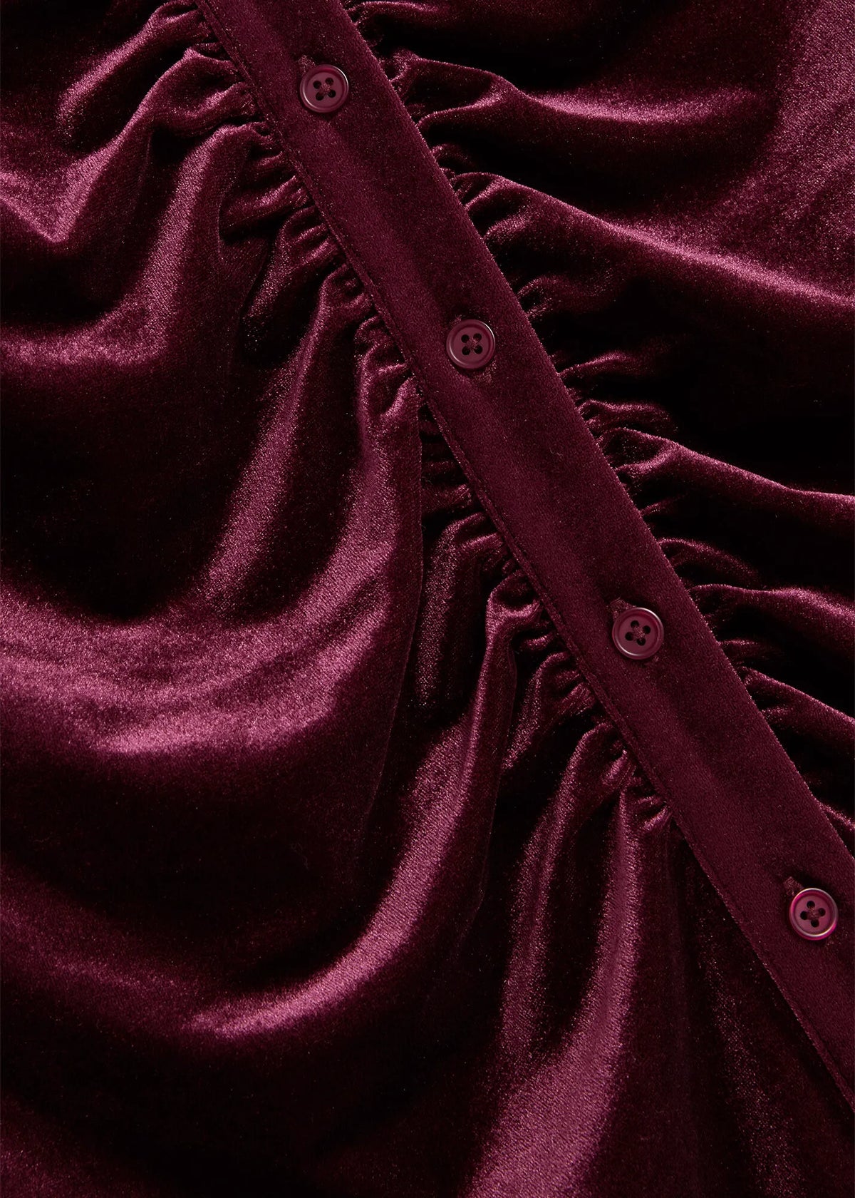 Fig Purple