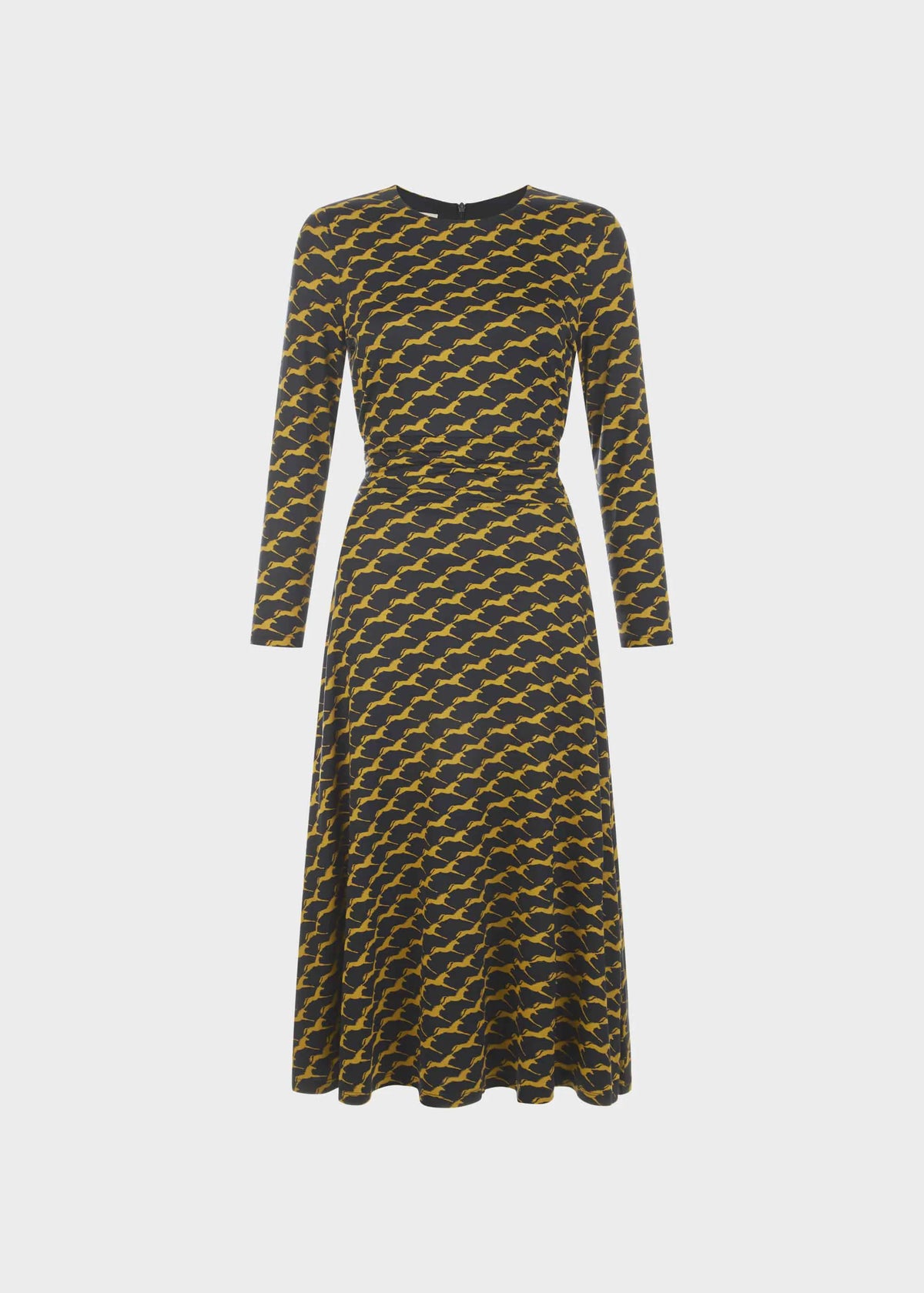 Navy Chartreuse