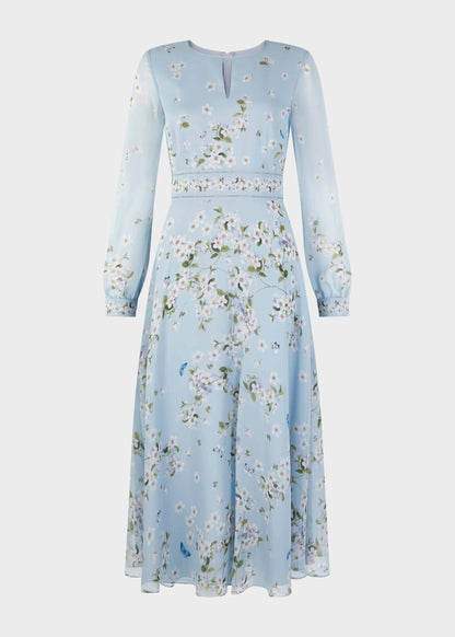 Celeste Blue
