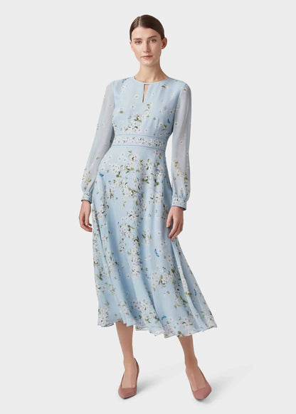 Celeste Blue