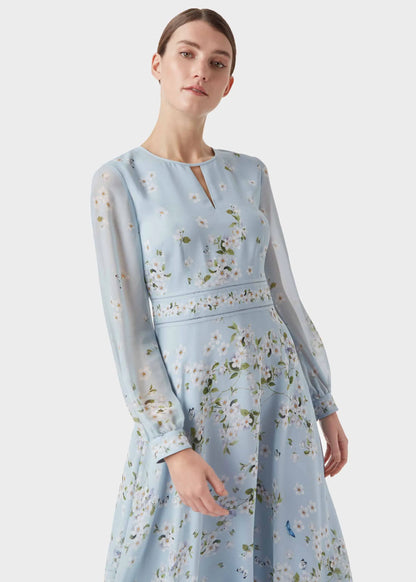 Celeste Blue