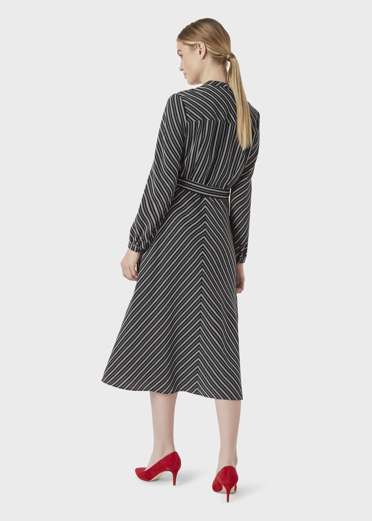Navy Ivory
