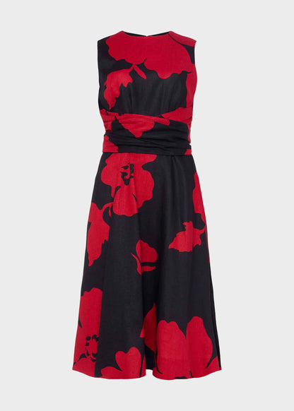 Navy Red