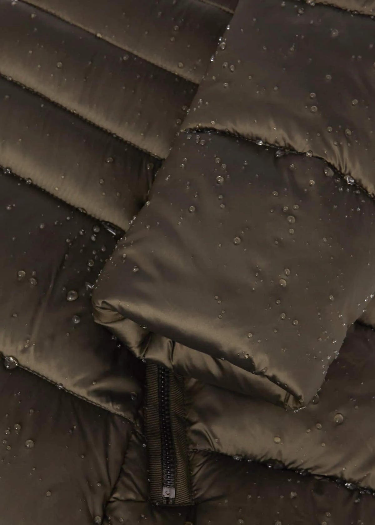 Dark Olive