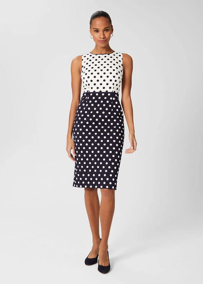 Navy Ivory