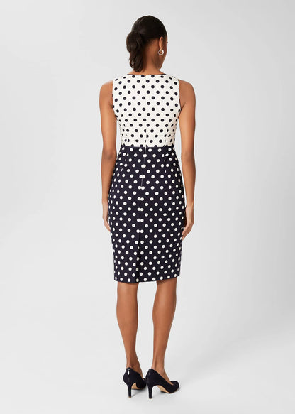 Navy Ivory
