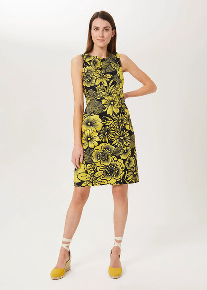 Chartreuse Navy