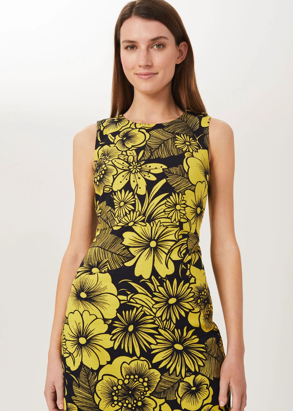 Chartreuse Navy