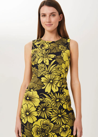 Chartreuse Navy