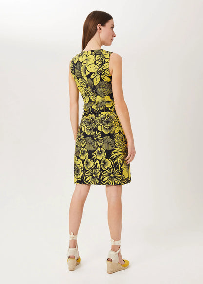 Chartreuse Navy
