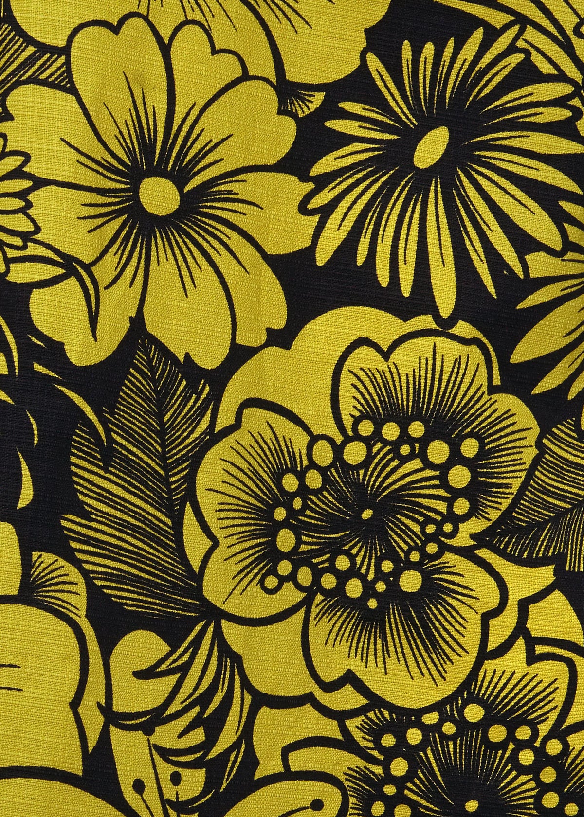 Chartreuse Navy