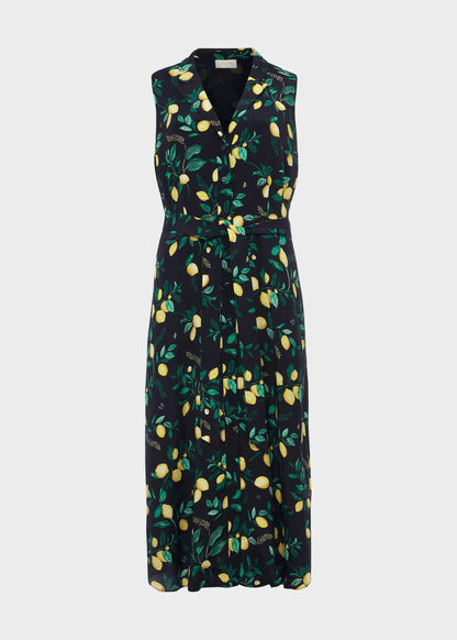 Navy Multi