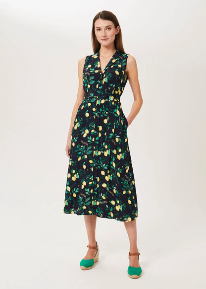 Navy Multi