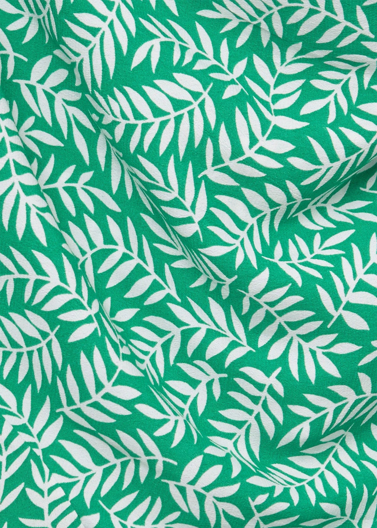 Green Ivory