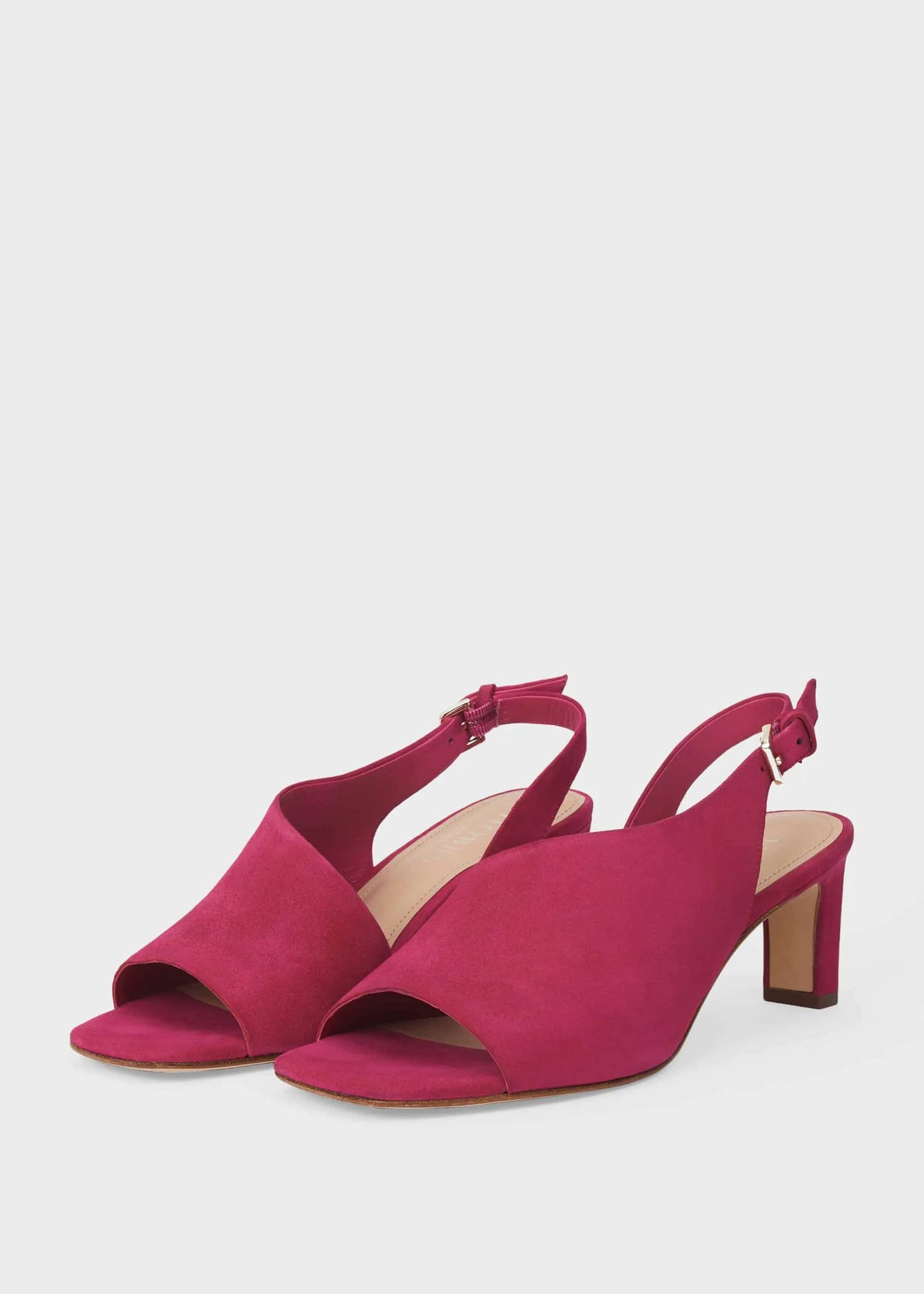 Fuchsia