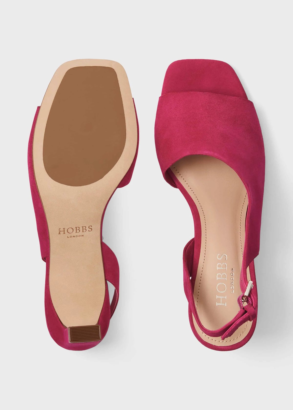 Fuchsia