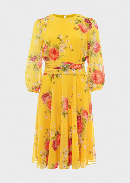 Yellow Multi