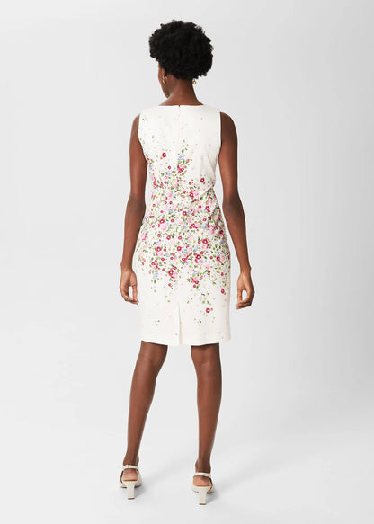 Ivory Multi