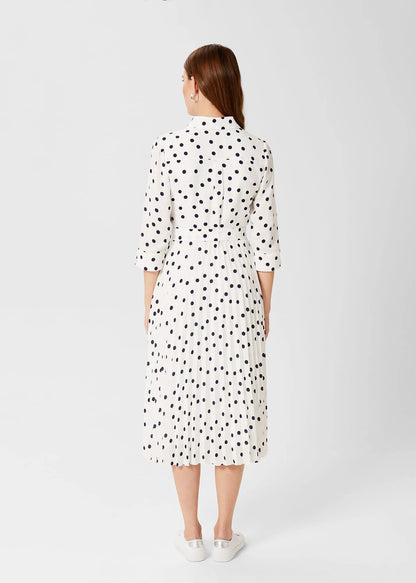 Ivory Navy