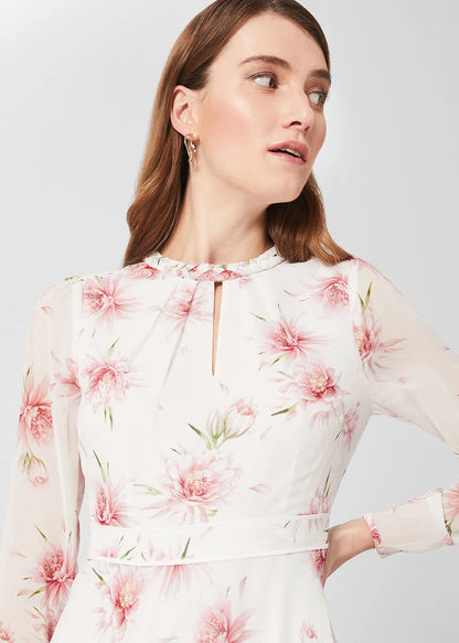 Ivory Multi