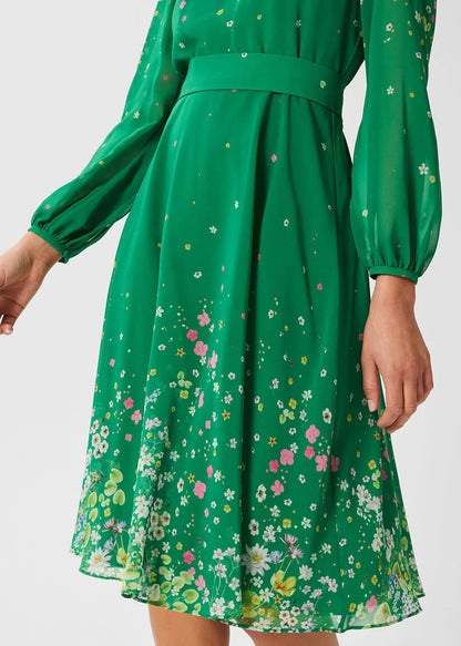 Green Multi