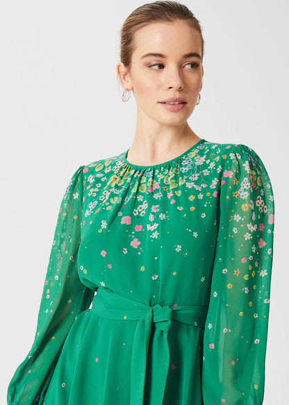 Green Multi