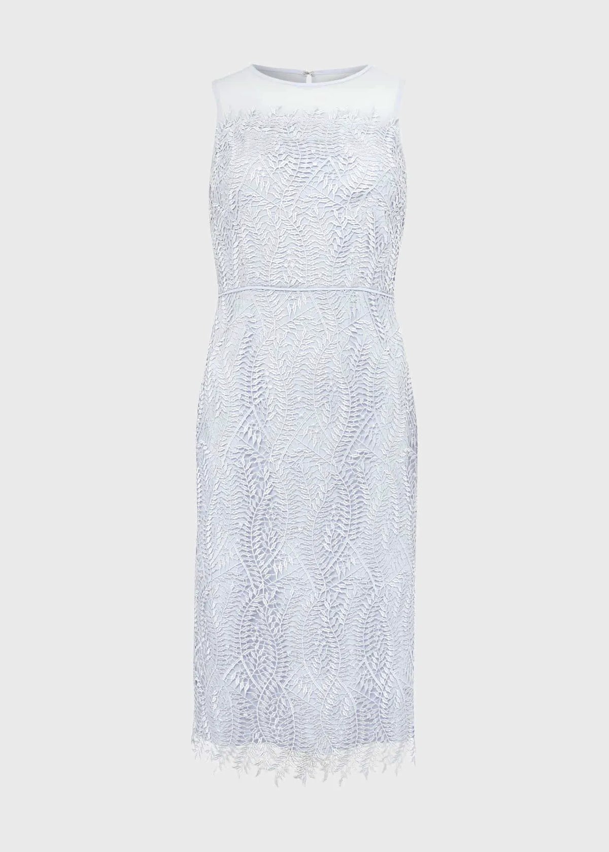 Pale Blue