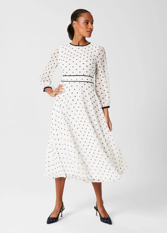 Ivory Navy