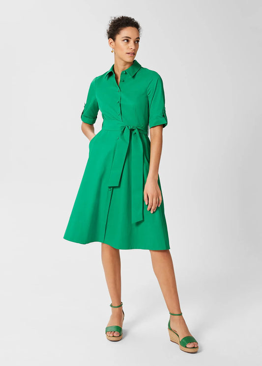 Amazon Green