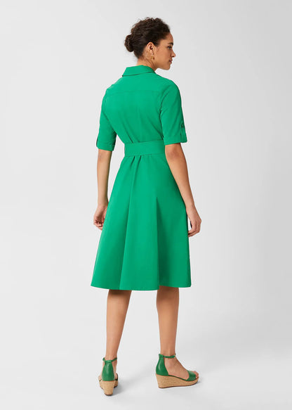Amazon Green