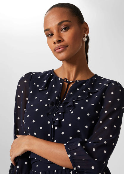 Navy Ivory
