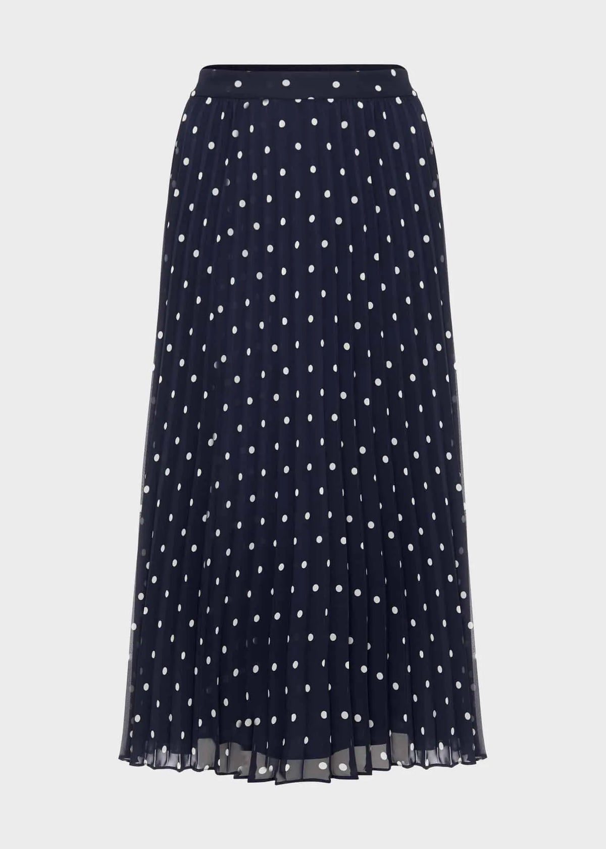 Navy Ivory