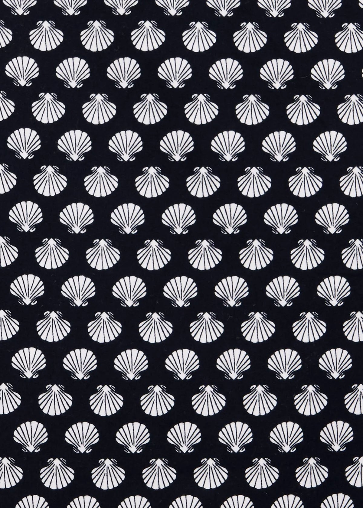 Navy White