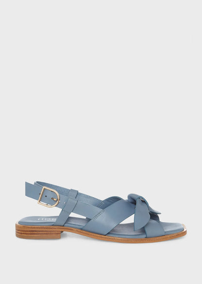 Cornflower Blue
