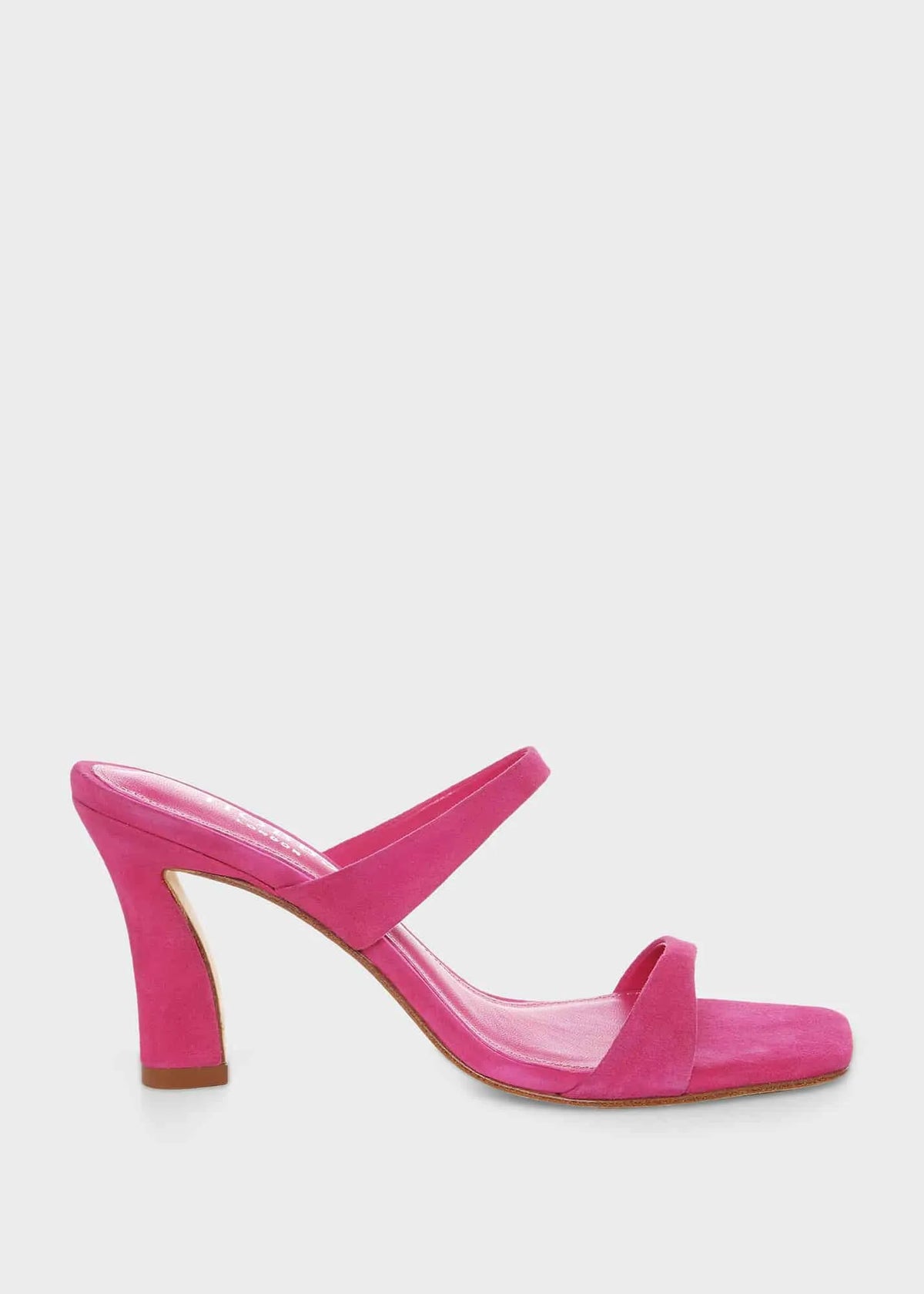 Cosmos Pink