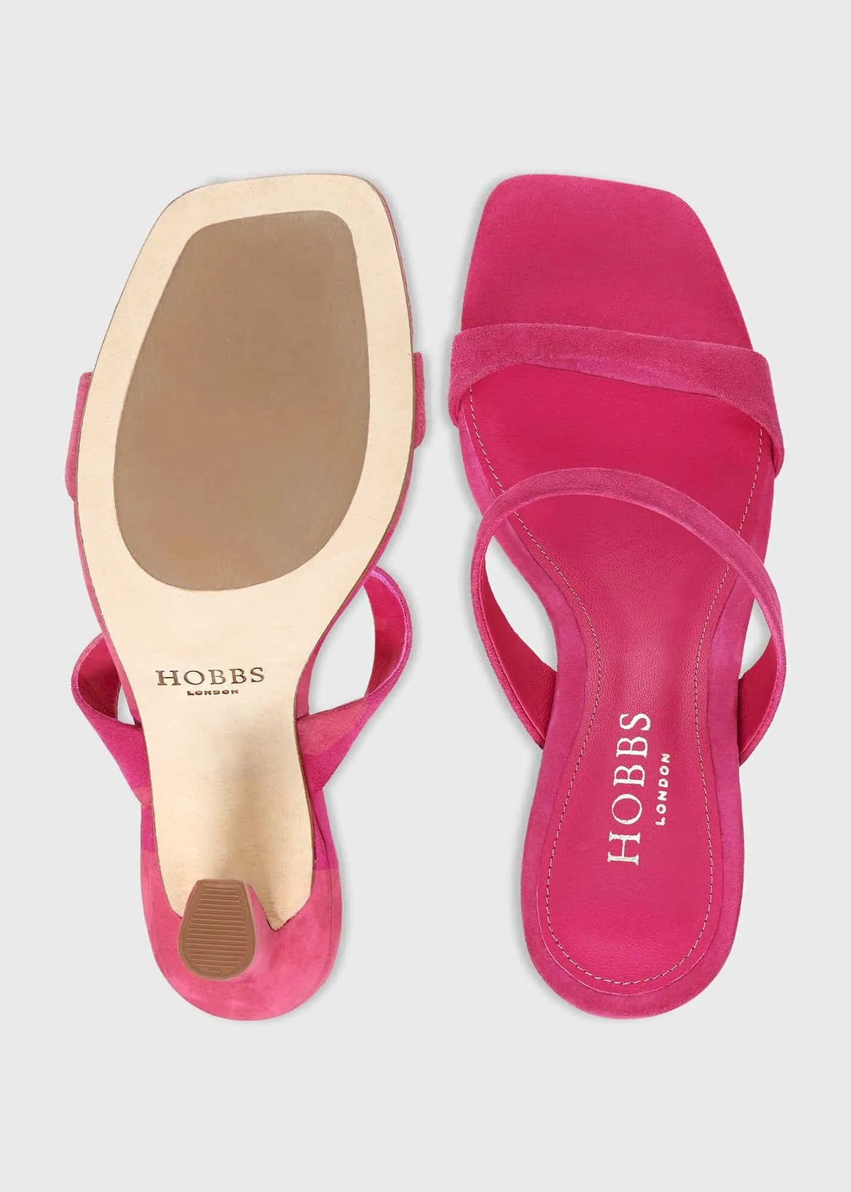 Cosmos Pink