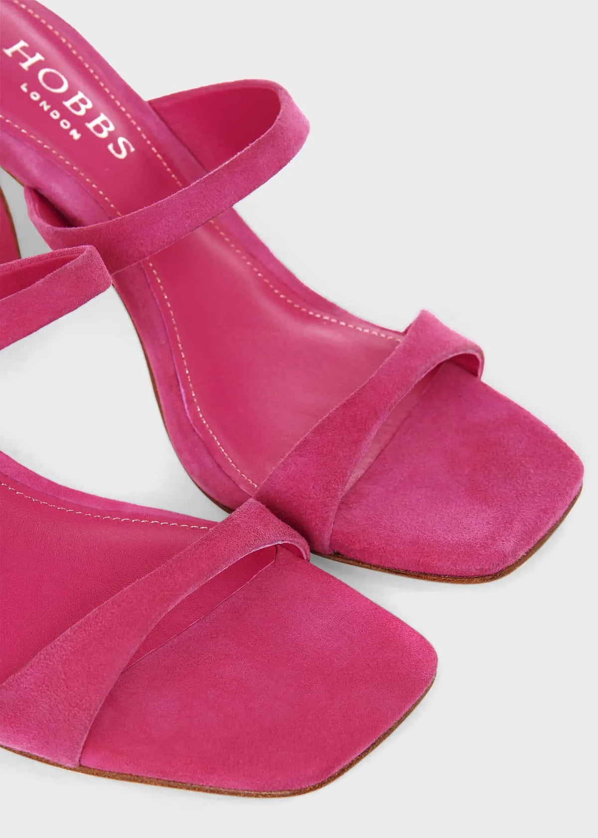 Cosmos Pink