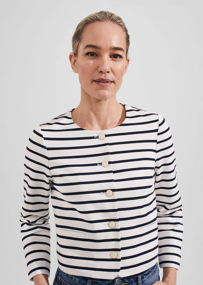 Ivory Navy