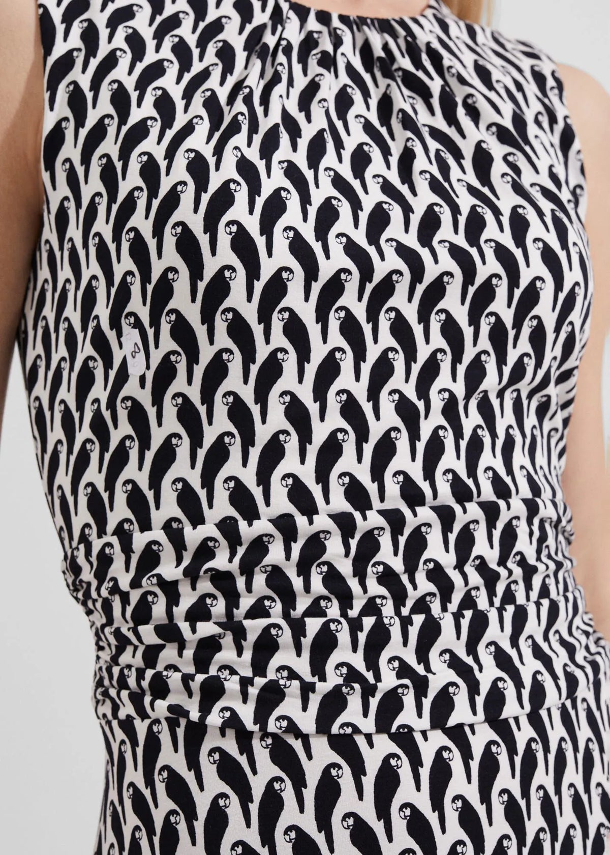 Ivory Navy