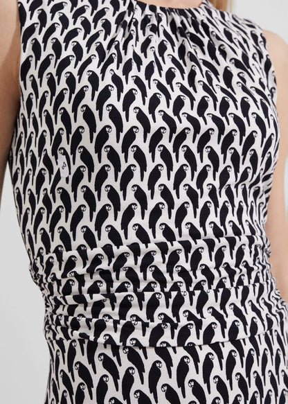 Ivory Navy