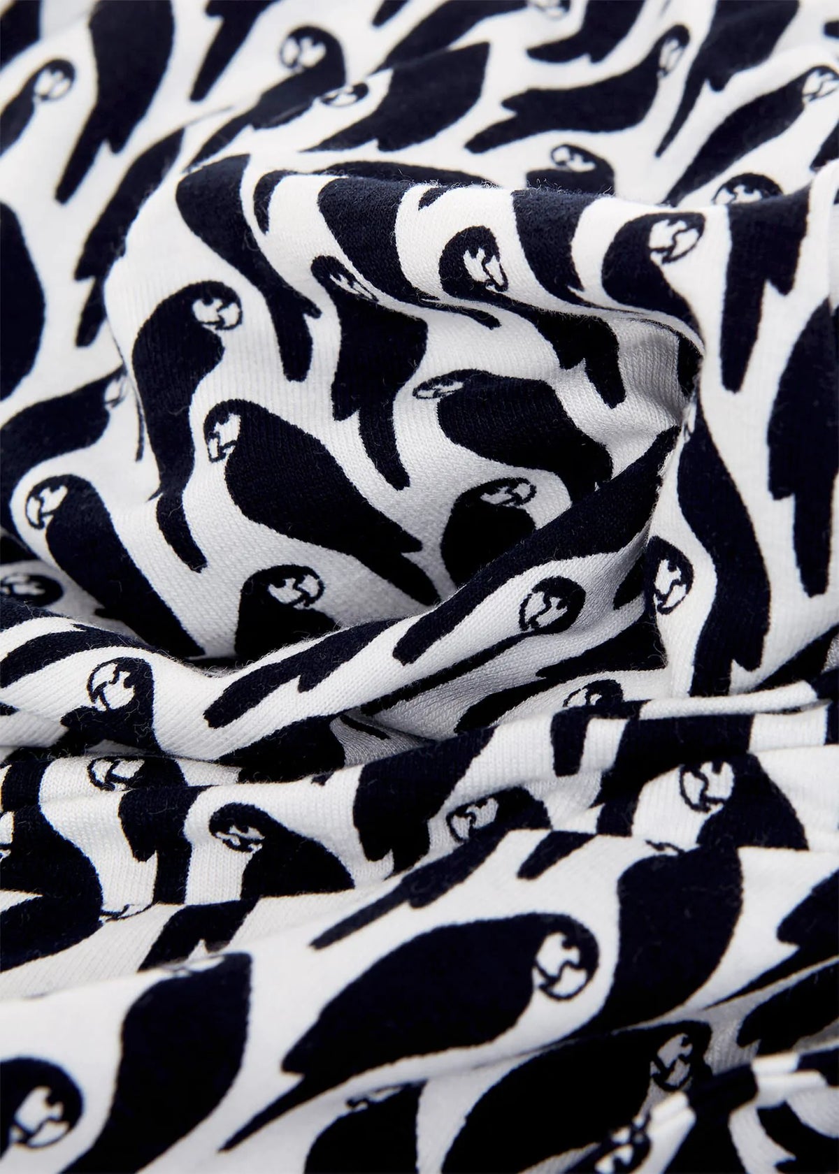 Ivory Navy