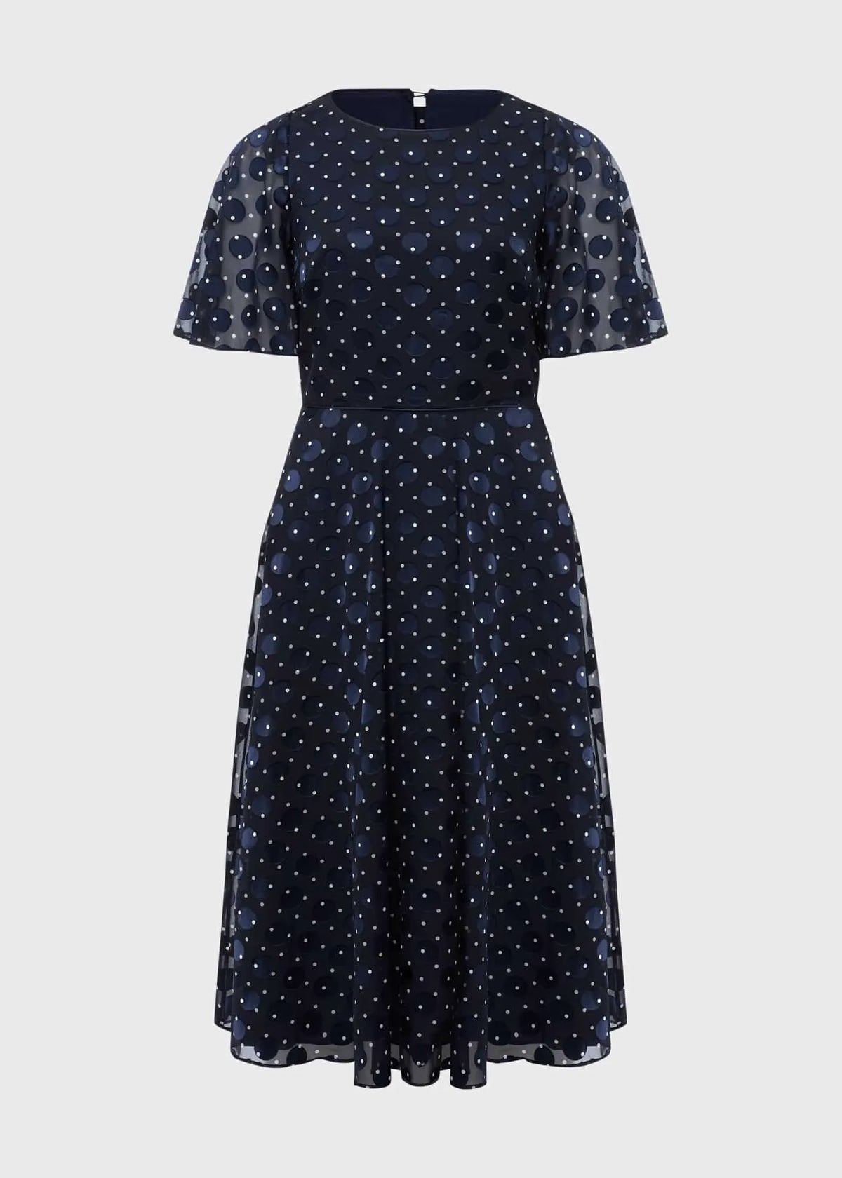 Navy Ivory