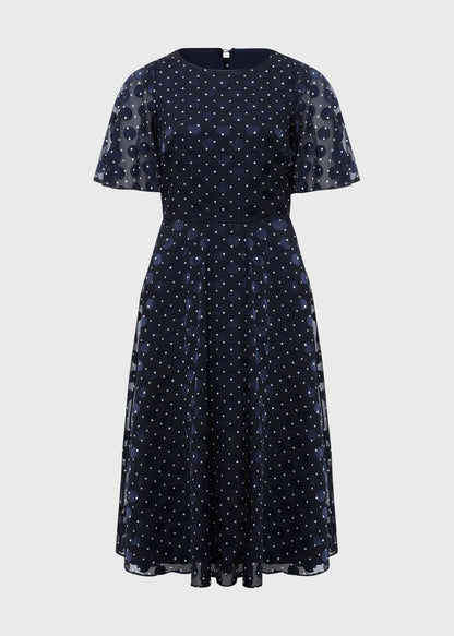 Navy Ivory