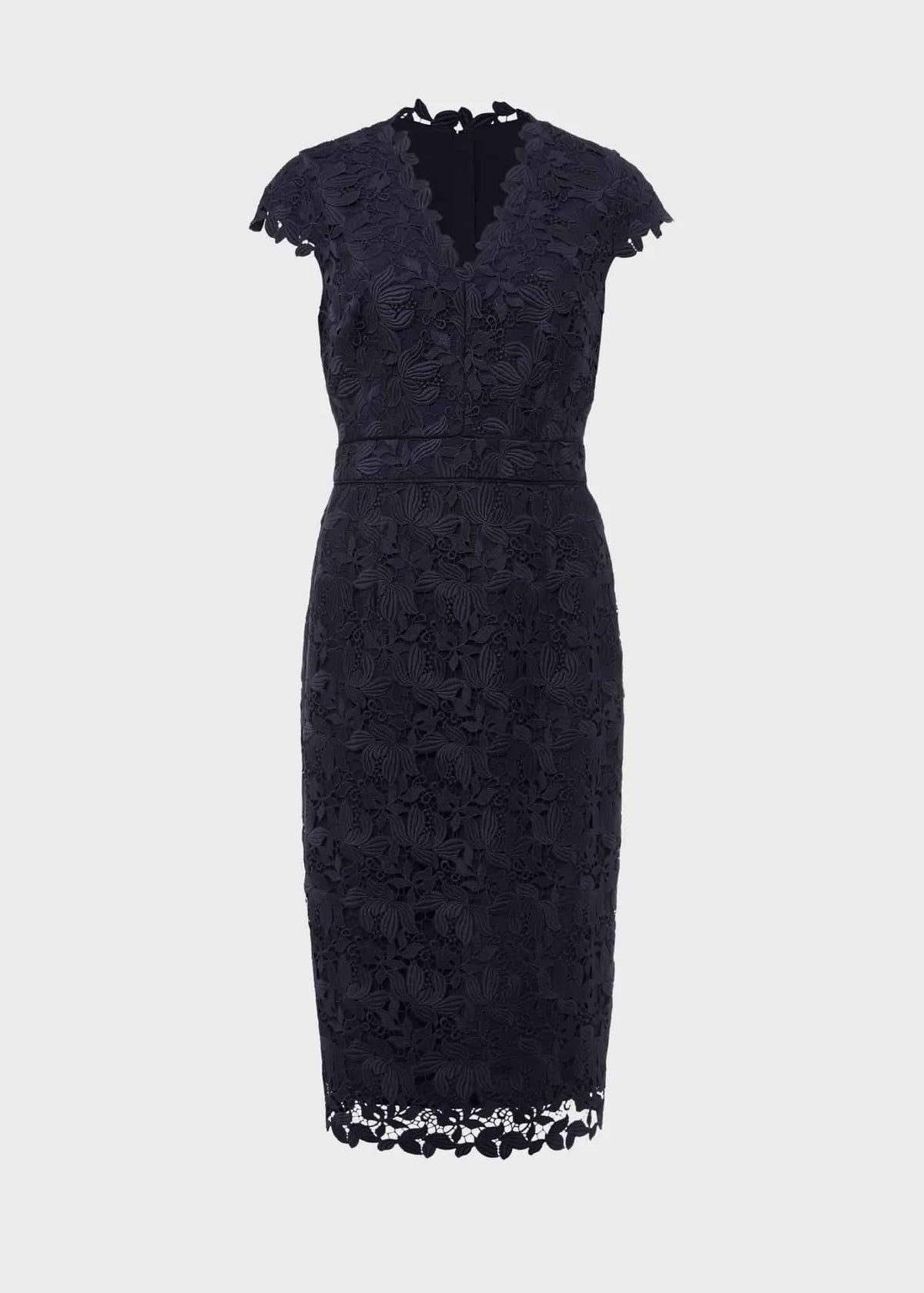 Midnight Navy