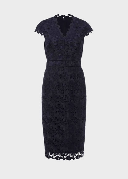 Midnight Navy