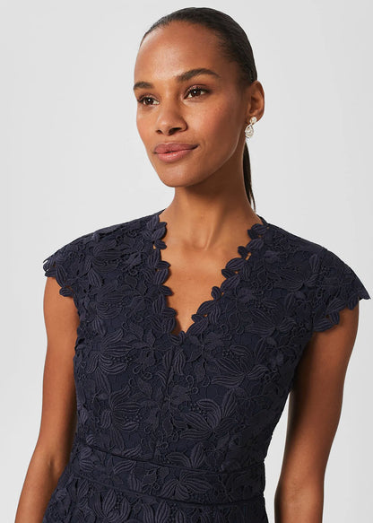 Midnight Navy