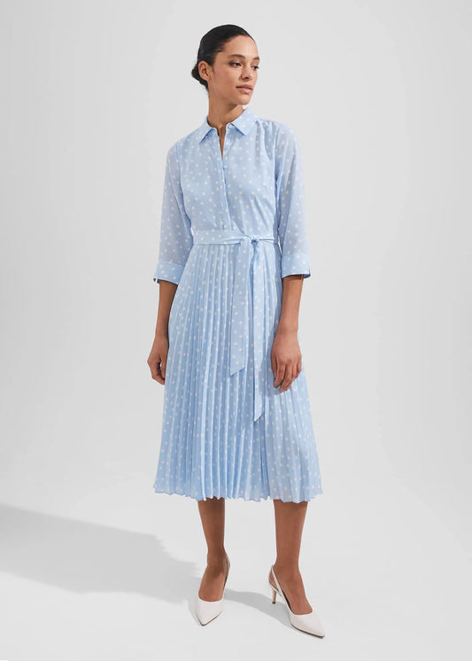 Dusky Blue Ivry